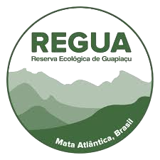 REGUA